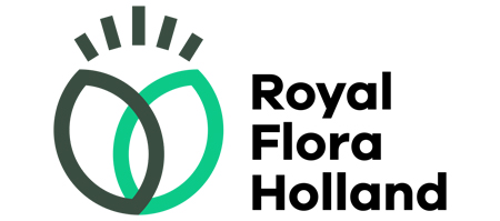 Logo RFH